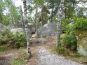 2018-05-24 14-54-38  Rando Fontainebleau FGn